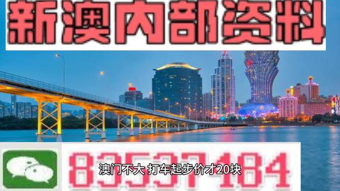 2025年新澳门正版资料精选,探索未来之门，澳门正版资料精选与未来的展望（2025年展望）